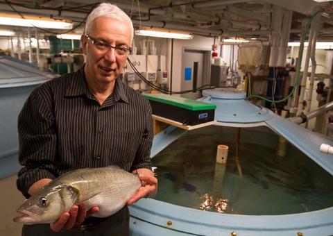 Reprodução de peixes é tema de evento internacional em Manaus