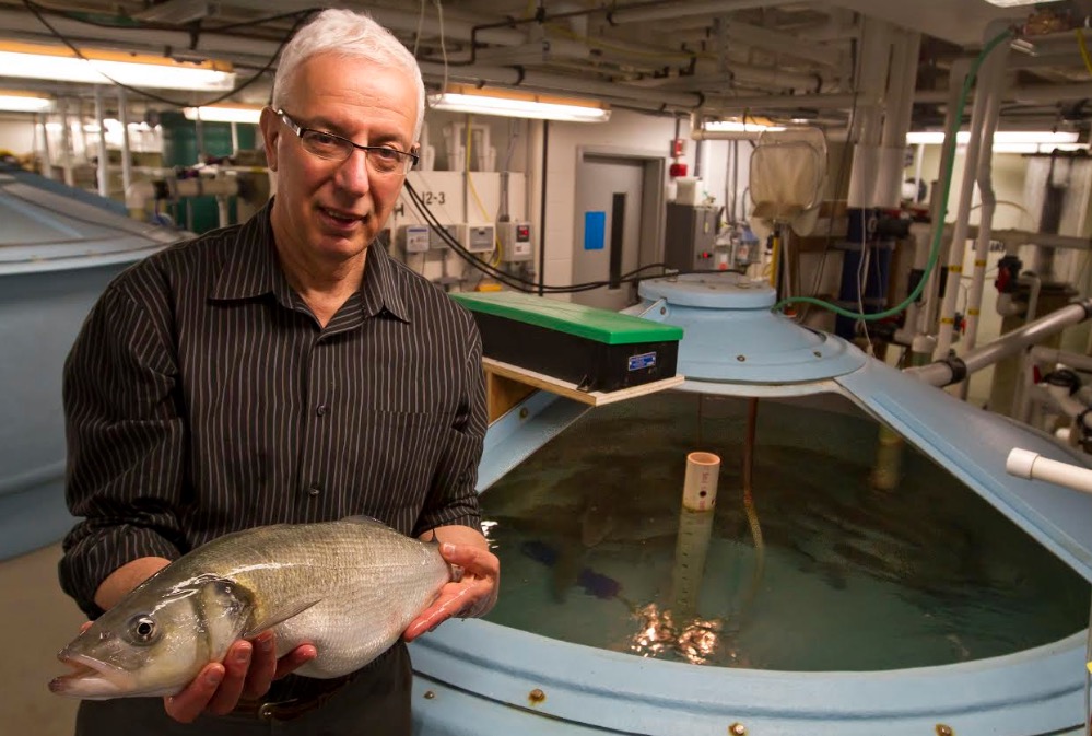 Reprodução de peixes é tema de evento internacional em Manaus