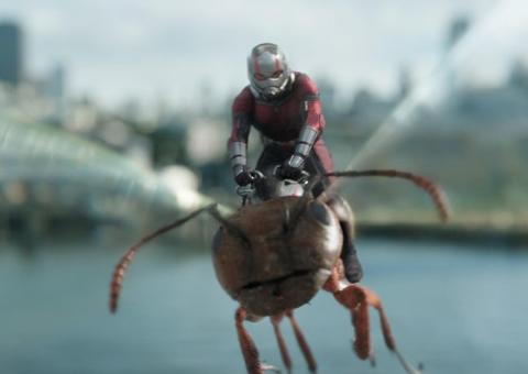 Homem-Formiga e a Vespa ganha comercial inédito cheio de ação