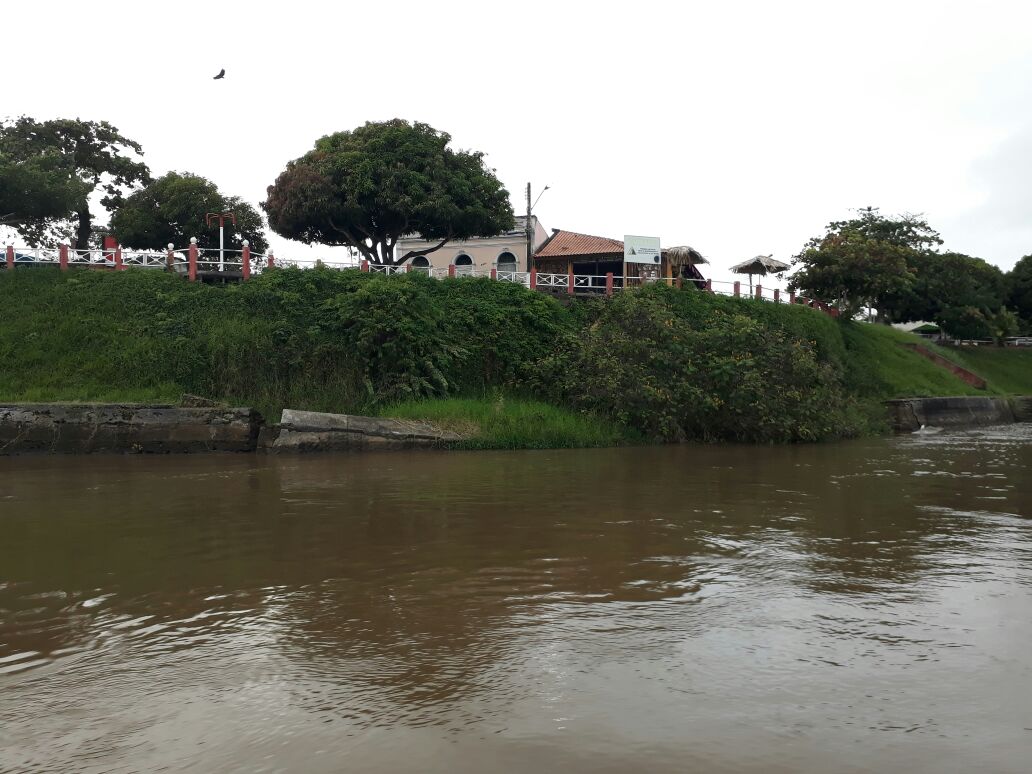 Quatro municípios do Baixo Amazonas entram em “Estado de Alerta” por conta da enchente