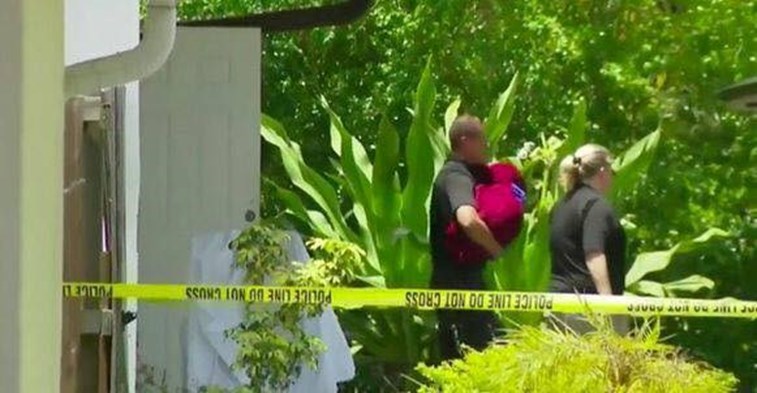 Bebê de 9 meses morre após ser atacada violentamente por pitbull da família