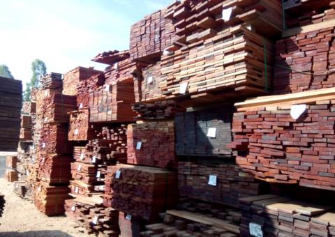 Ibama e PF fazem a maior apreensão de madeira ilegal da Amazônia em São Paulo