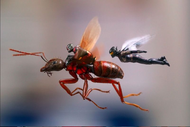 Homem-Formiga e a Vespa ganha trailer com cenas inéditas. Confira