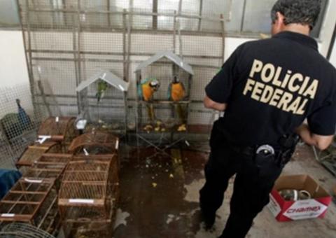 No Amazonas, Ibama aplica R$ 895 mil em multas por venda de animais silvestres na internet