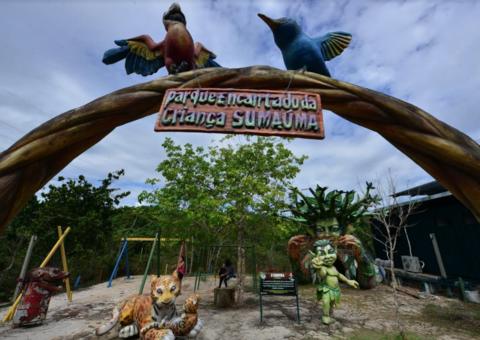 Governo assina convênio para monitorar sauins-de-coleira e recuperar áreas do Parque Sumaúma