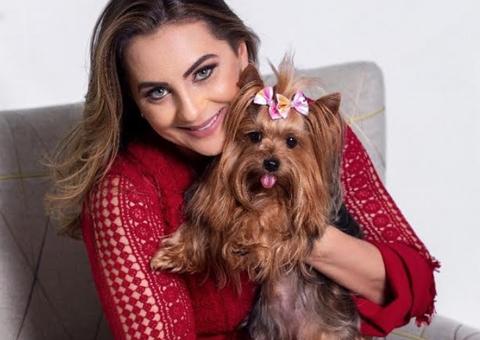 Ação beneficente promove ensaios fotográficos com pets em Manaus