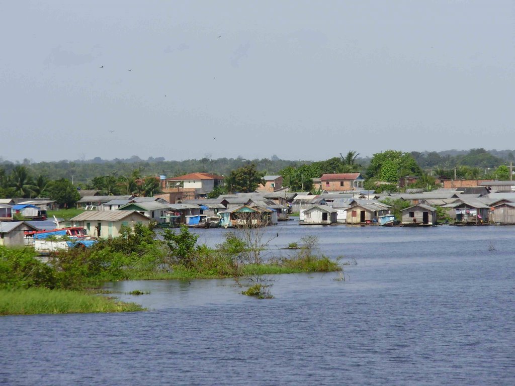 Criança de 4 anos morre após cair em rio no Amazonas