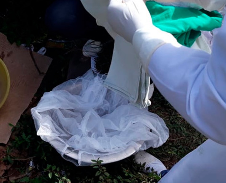 Com parte do corpo devorado por animais, recém-nascido é encontrado morto no Amazonas