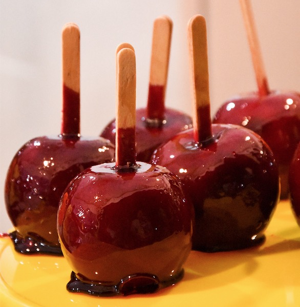 Rota dos Chefs comanda feira gastronômica do Festival Folclórico do Amazonas