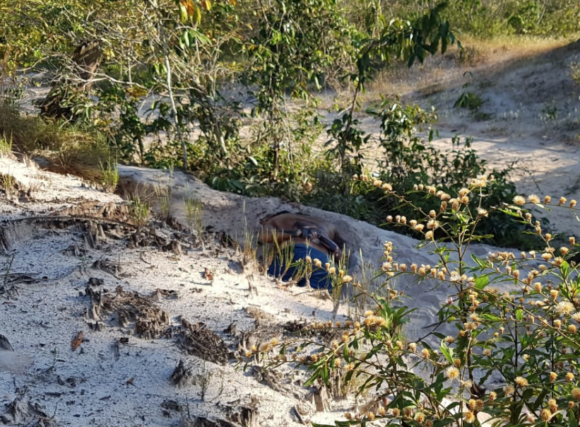 Corpo de homem morto com 18 tiros é encontrado em ramal no Amazonas