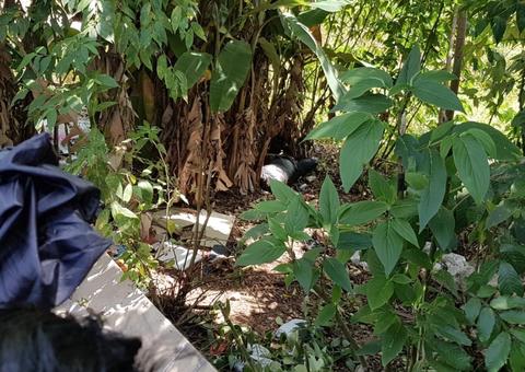 Marceneiro desaparecido é encontrado morto com mão decepada em Manaus