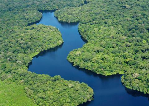 Procuradoria-Geral da República cria força-tarefa para reparação de desmatamento na Amazônia