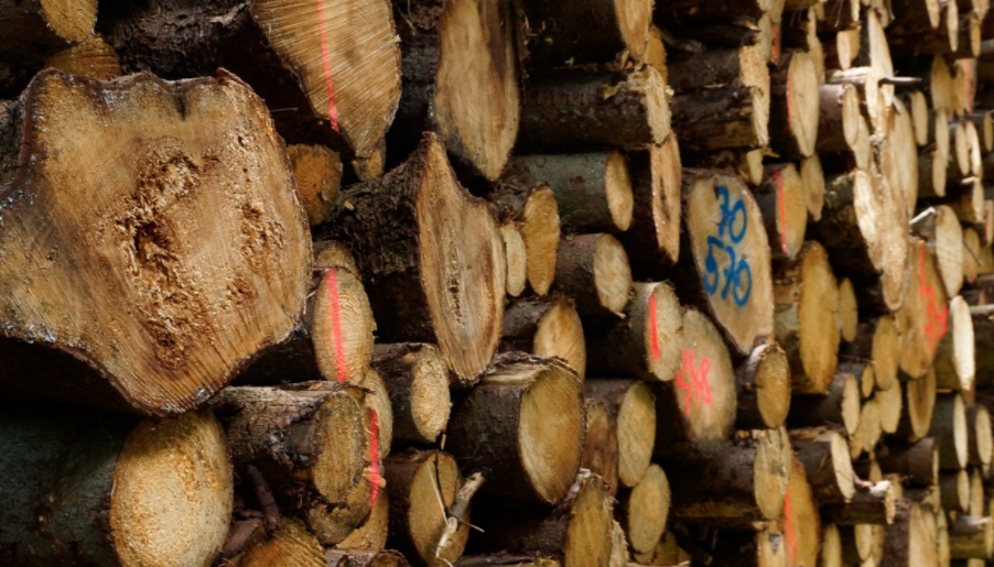 Procuradoria-Geral da República cria força-tarefa para reparação de desmatamento na Amazônia