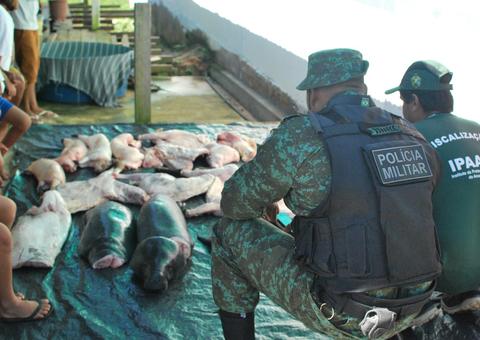 Ipaam apreende animais silvestres em operação no Amazonas