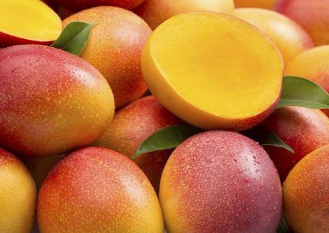 Comer 2 xícaras de manga por dia ajuda organismo das mulheres