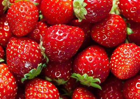 Morango pode ajudar a combater infecções gástricas e câncer do estômago