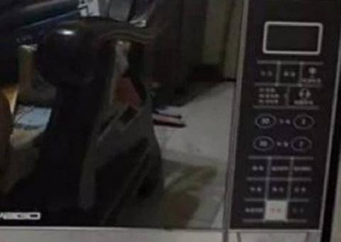 Homem posta anúncio de micro-ondas na internet e reflexo revela detalhe íntimo