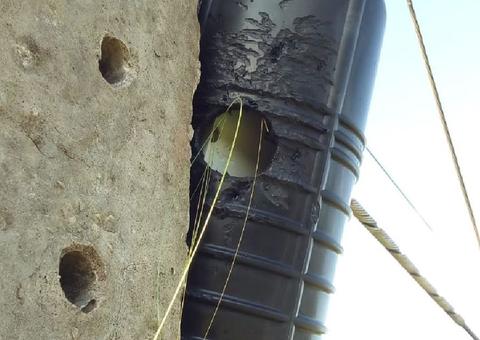 Pica-Pau fura caixa de fibra ótica e deixa interior do Acre sem internet e telefonia