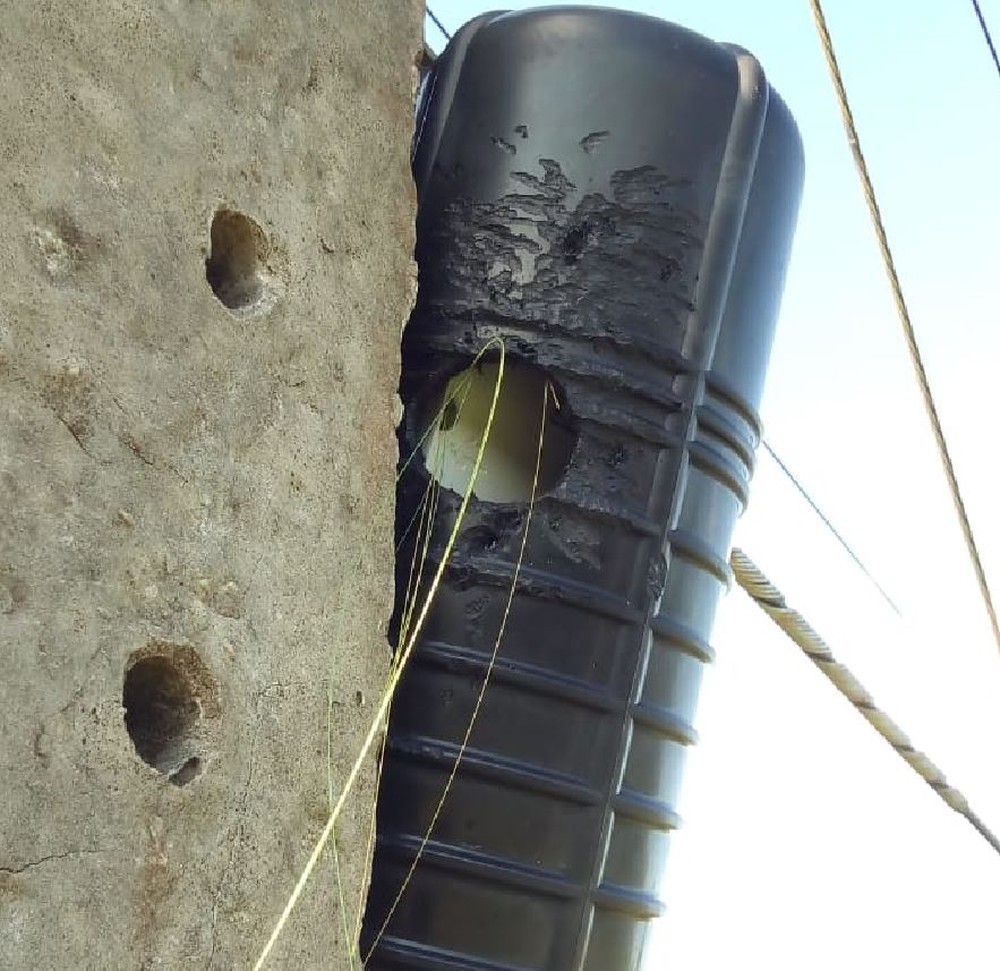 Pica-Pau fura caixa de fibra ótica e deixa interior do Acre sem internet e telefonia