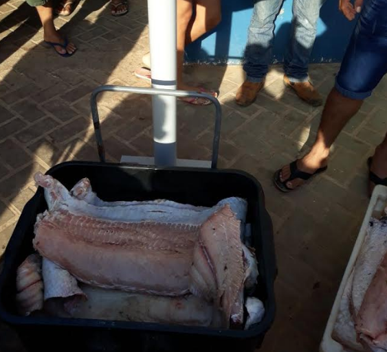 Homem é preso com pescado ilegal e quelônios que seriam vendidos no Amazonas