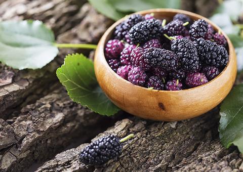 Chá de amora é poderoso aliado da saúde da mulher. Conheça mais benefícios