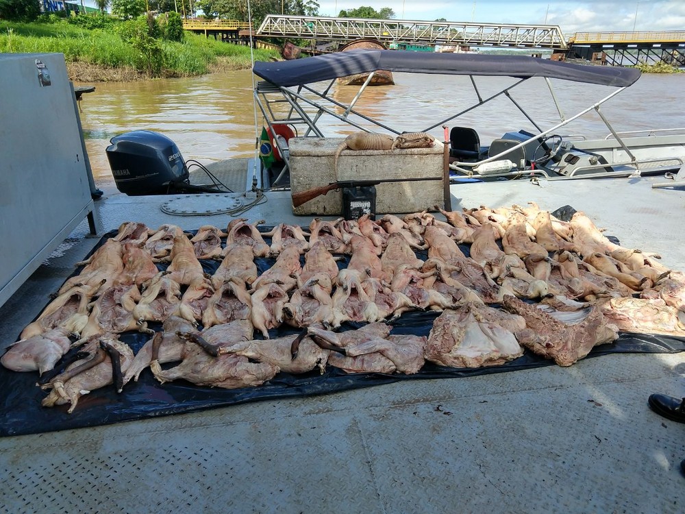 Polícia Federal apreende carne de animal silvestre em embarcação no Amazonas 