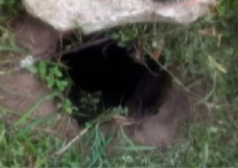 Presos cavam túnel até muro de presídio e mais de 40 fogem no Pará