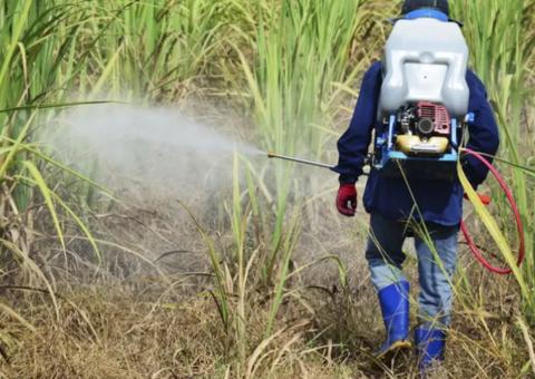 Comissão aprova projeto que flexibiliza regulação de agrotóxicos 