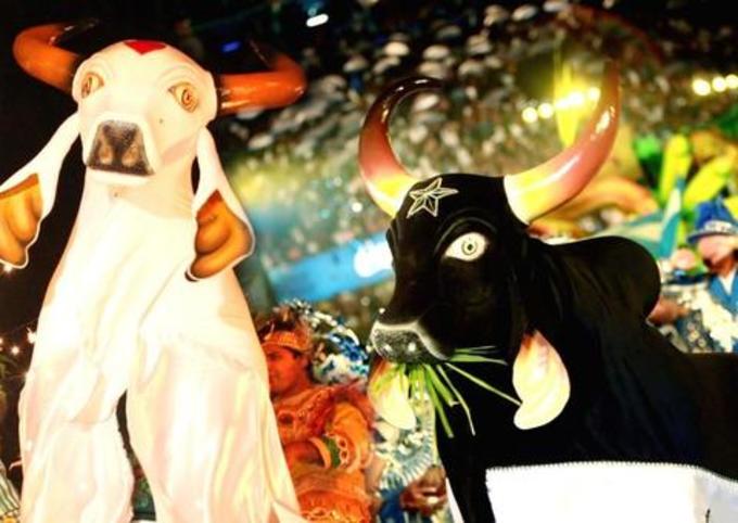 Crianças de duas faixas etárias não poderão assistir o Festival Folclórico de Parintins