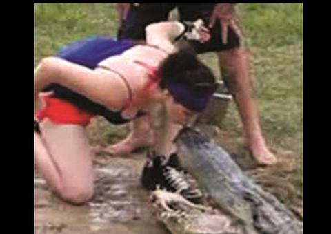 Mulher arrisca a própria vida para beijar jacaré