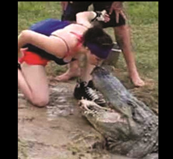 Mulher arrisca a própria vida para beijar jacaré