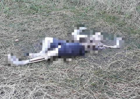 Corpo de homem é encontrado com parte do esqueleto exposto no Amazonas