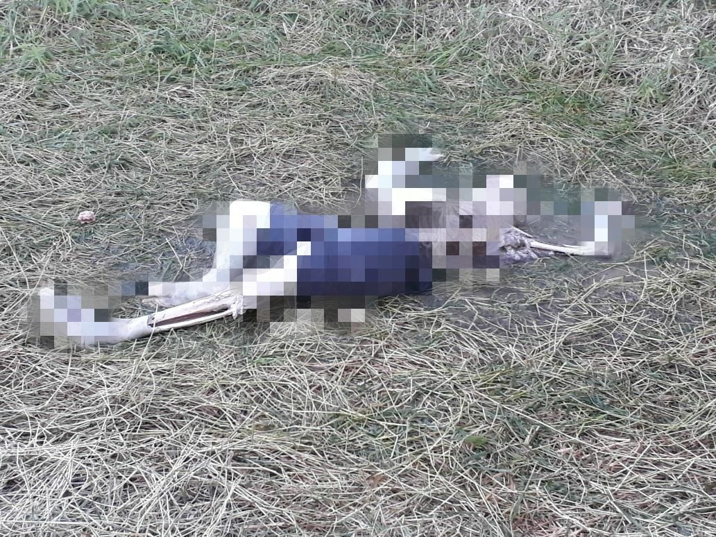 Corpo de homem é encontrado com parte do esqueleto exposto no Amazonas