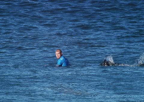Tubarão surge inesperadamente e interrompe Circuito Mundial de Surf 