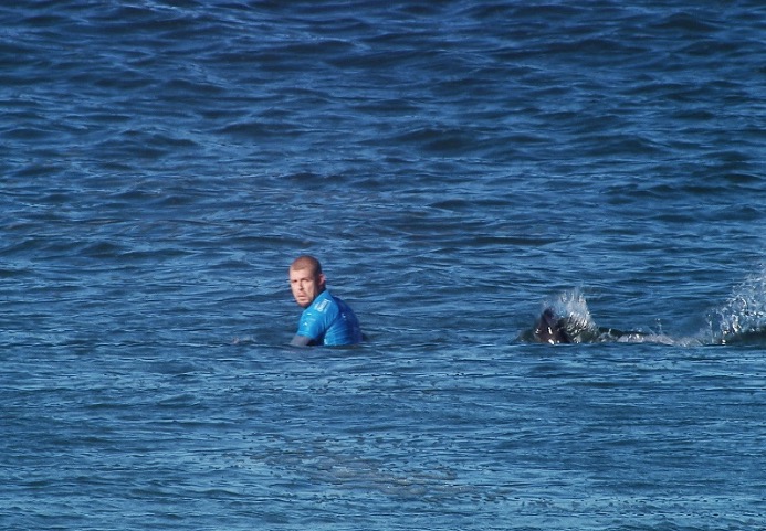 Tubarão surge inesperadamente e interrompe Circuito Mundial de Surf 