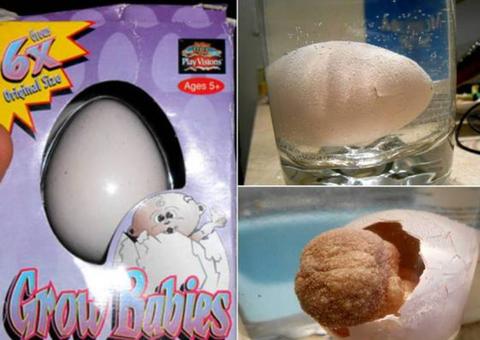 Internauta testa brinquedo que 'cresce na água' e se arrepende