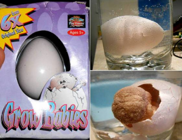 Internauta testa brinquedo que 'cresce na água' e se arrepende