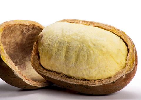 Shopping em Manaus recebe feira de produtos regionais nesta quinta