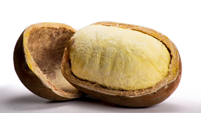 Shopping em Manaus recebe feira de produtos regionais nesta quinta