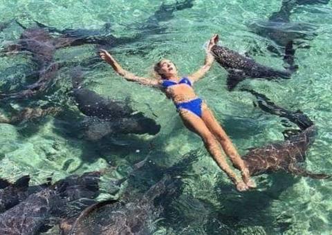 Turista é atacada por tubarão ao posar para foto nas Bahamas