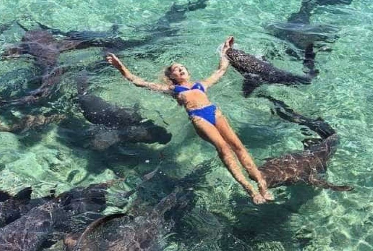Turista é atacada por tubarão ao posar para foto nas Bahamas