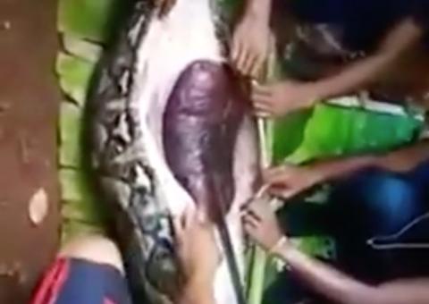 Moradores encontram corpo de mulher desaparecida dentro de cobra gigante