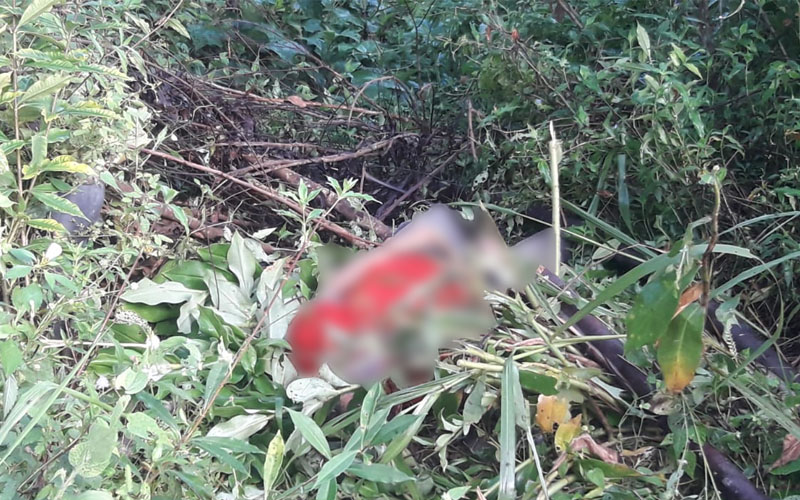 Em Manaus, moradores encontram homem morto em ramal