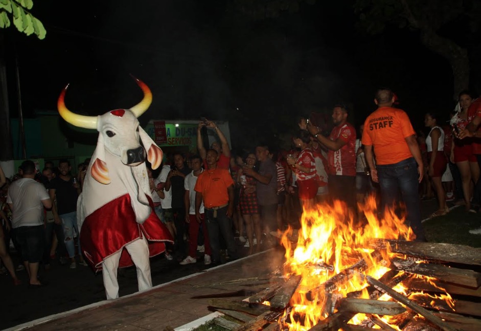 Mantendo a tradição, Boi Garantido promove ‘Matança' nesta terça-feira