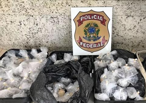 PF apreende mais de 500 peixes ornamentais no aeroporto de Manaus