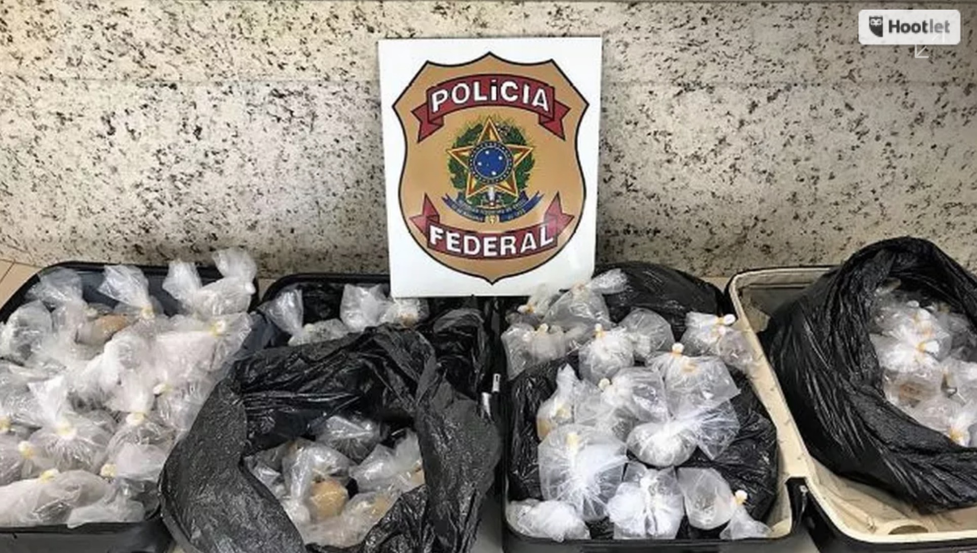 PF apreende mais de 500 peixes ornamentais no aeroporto de Manaus