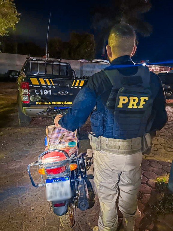 PRF prende motociclista flagrado com curió dentro de gaiola no Amazonas