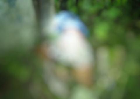 Executada a tiros mulher é encontrada em matagal em Manaus 