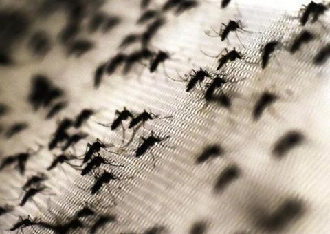 Governo Federal auxiliará municípios com surto de malária no Amazonas