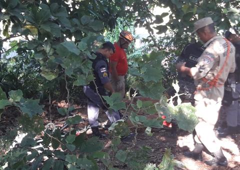 Sem crânio e esfaqueado, corpo é encontrado em cova em bairro de Manaus